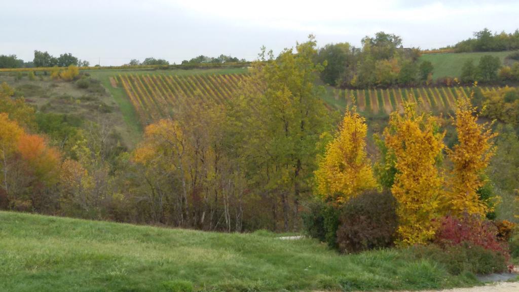 Les Hauts D'Albas Albas  Quarto foto