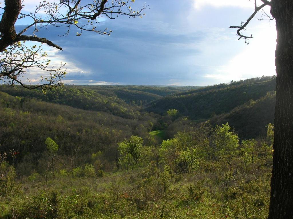 Les Hauts D'Albas Albas  Quarto foto